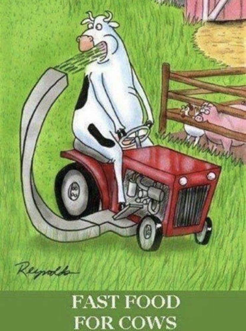 A cartoon shows a cow driving a lawnmower, which cuts grass and feeds it directly into the cow's mouth. Two pigs watch from behind a fence. The text reads: 'FAST FOOD FOR COWS'.