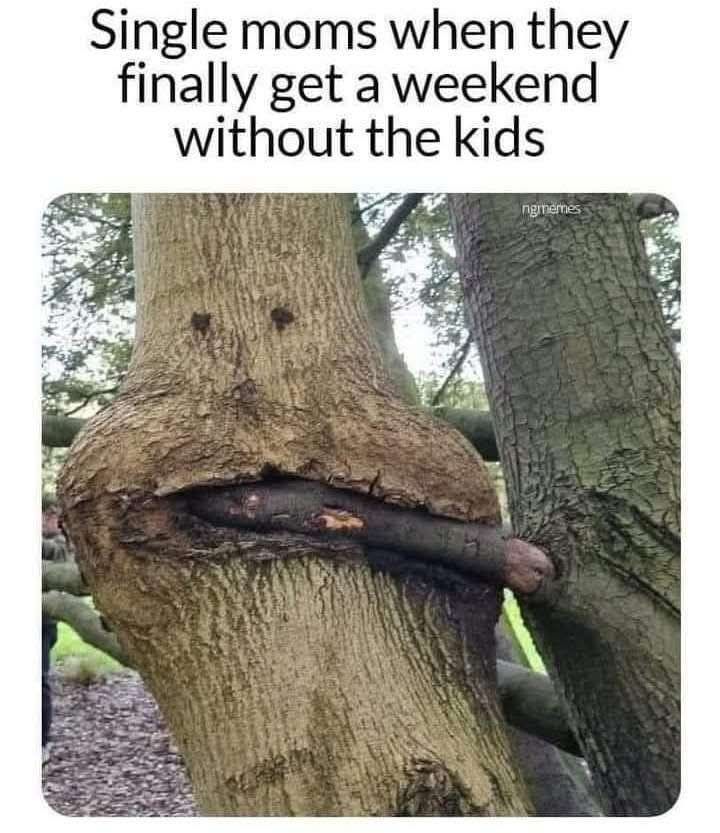 Single moms when they finally get a weekend without the kids ngmemes