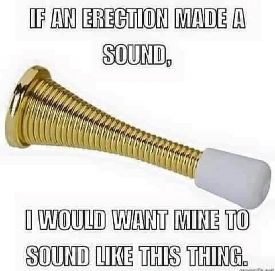 IF AN ERECTION MADE A SOUND, I WOULD WANT MINE TO SOUND LIKE THIS THING.