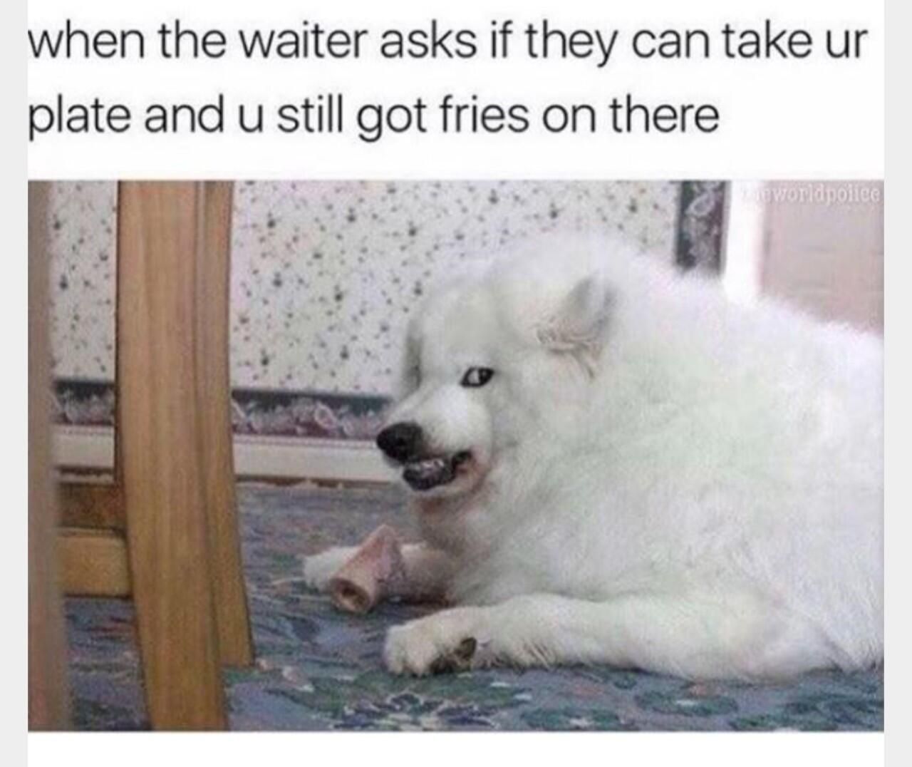 when the waiter asks if they can take ur plate and u still got fries on there