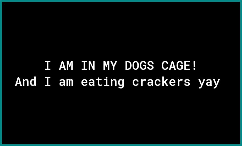 I AM IN MY DOGS CAGE And I am eating crackers yay
