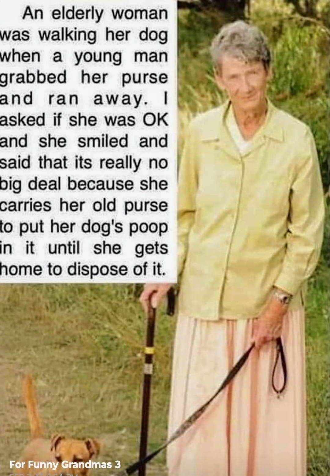 An elderly woman was walking her dog when a young man grabbed her purse and ran away asked if she was OK and she smiled and said that its really no big deal because she carries her old purse _ 1 to put her dogs poop n it until she gets home to dispose of it