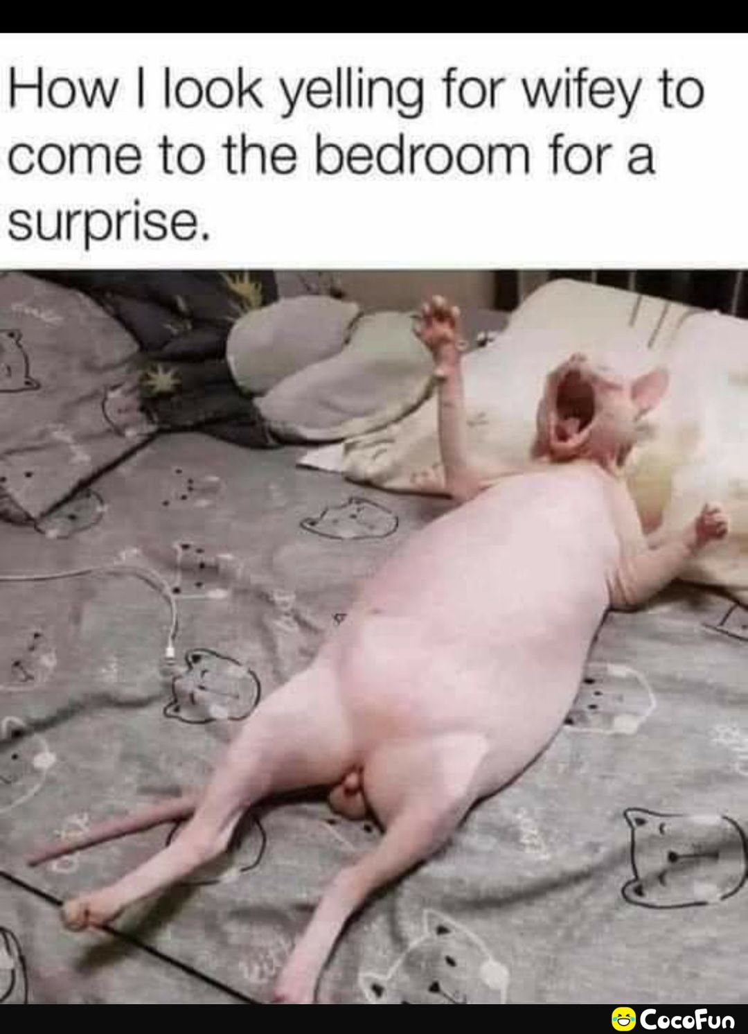 How look yelling for wifey to come to the bedroom for a surprise