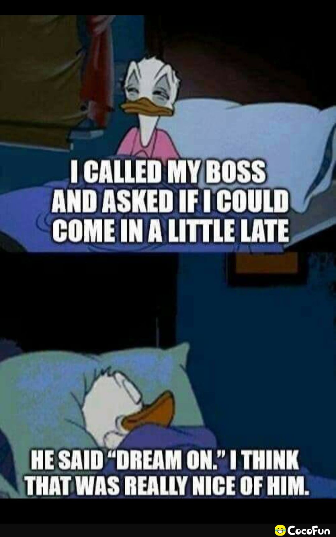 L nm COME IN A LITTLE LATE THAT WAS REALLY NICE OF HIM CocoFun