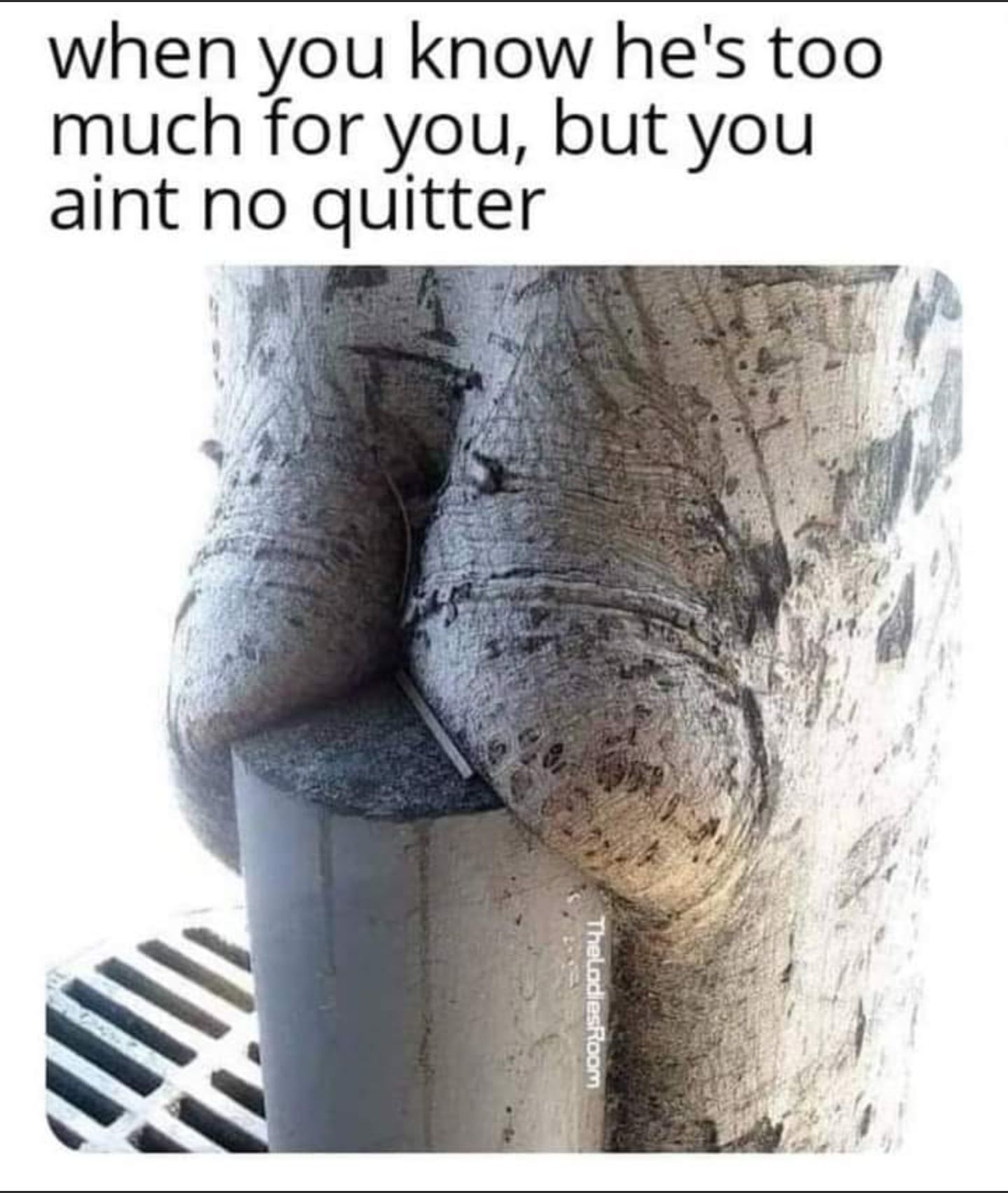 when you know hes too much for you but you aint no quitter