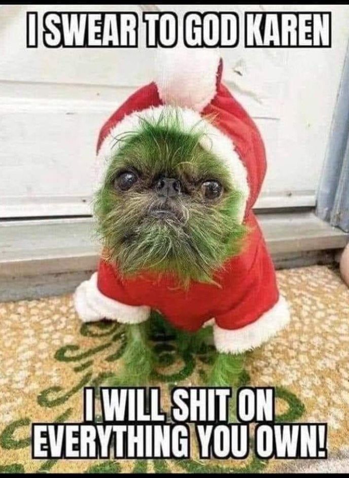 A EVERVTHINGYOUOWNIS