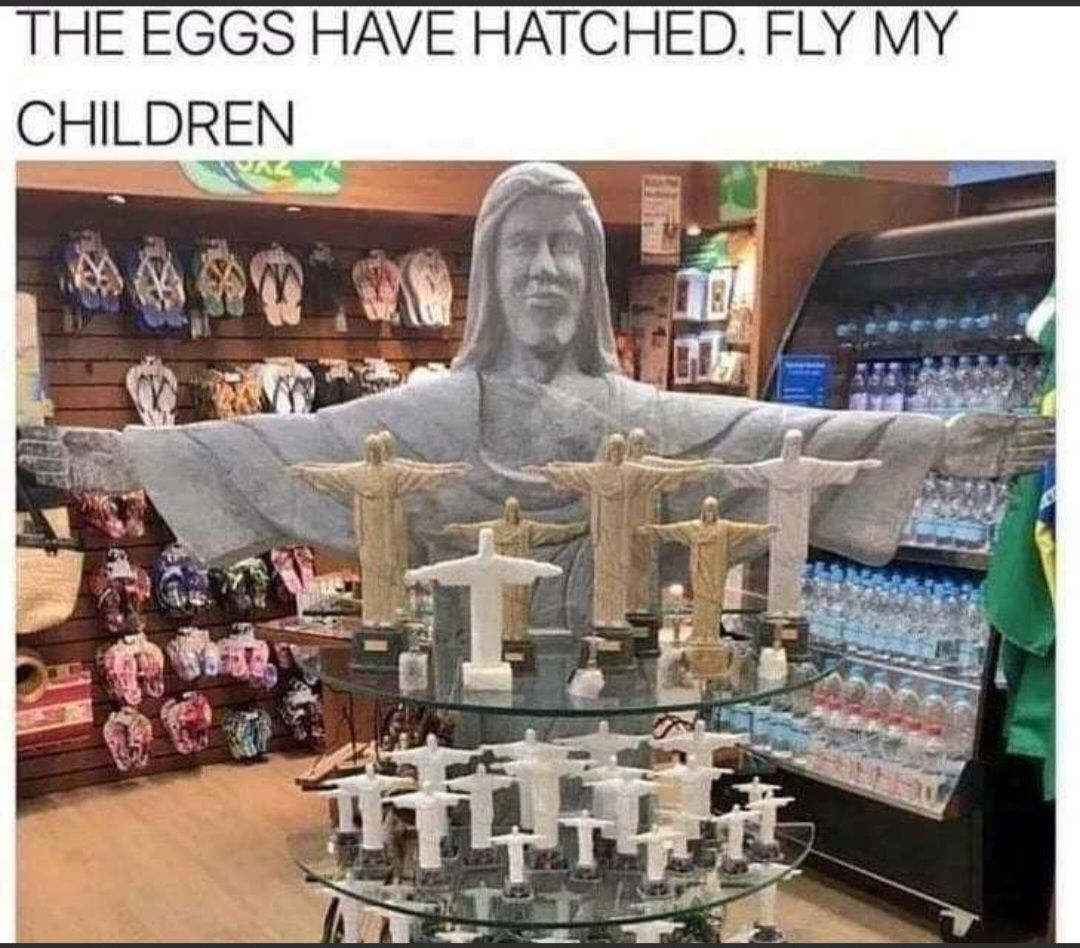 THE EGGS HAVE HATCHED FLY MY CHILDREN i th AR