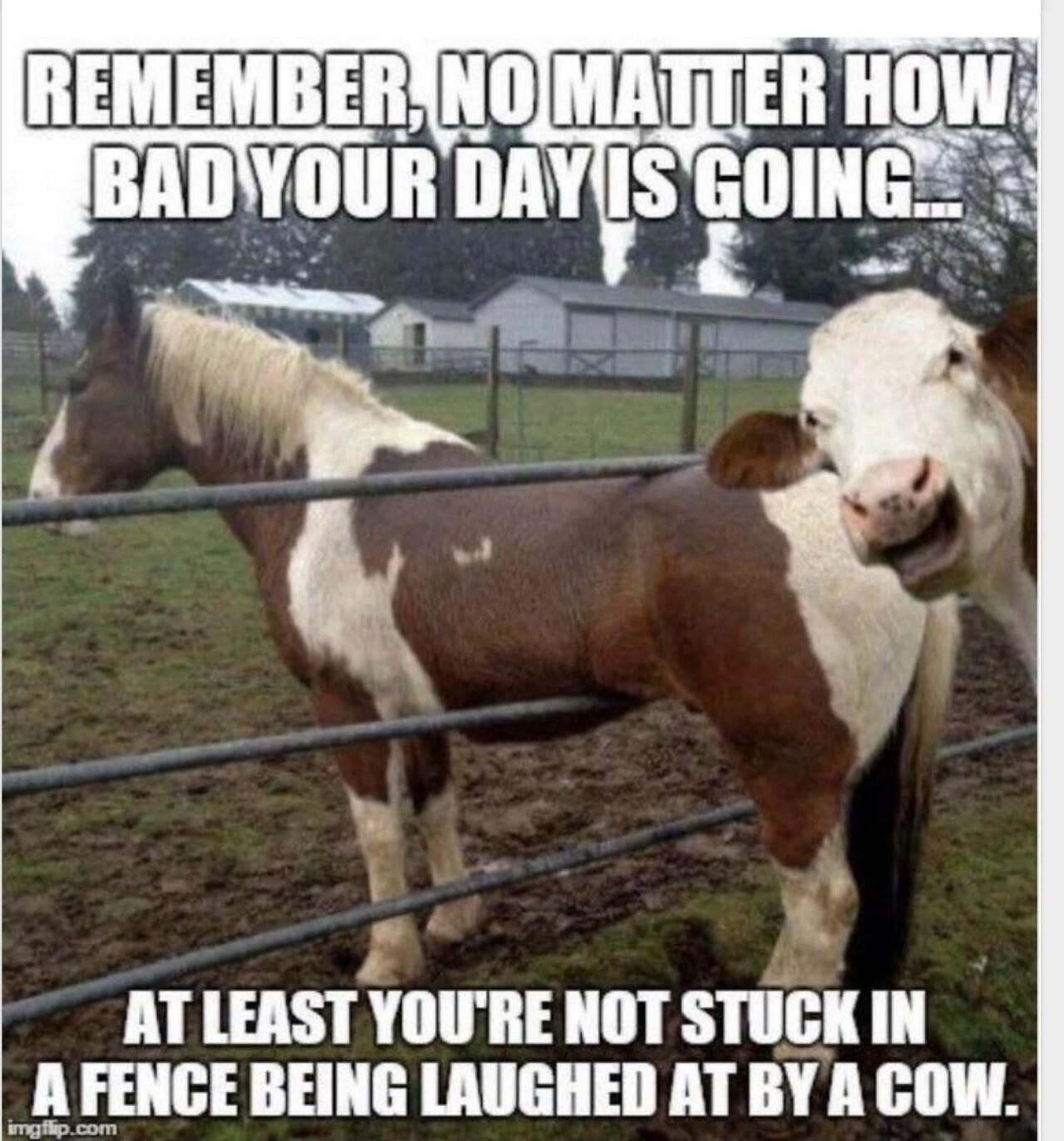 REMEMBERYNOMATTER HOW BADYOUR DAYS gnm