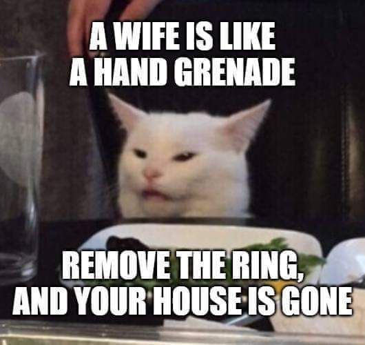 AWIFEIS LIKE A HAND GRENADE q REMOVE THERING 348 IIIII YOURHOUSE Silillllil