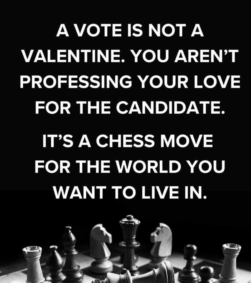 AVOTEIS NOT A VALENTINE YOU ARENT PROFESSING YOUR LOVE FOR THE CANDIDATE ITS A CHESS MOVE FOR THE WORLD YOU WANT TO LIVE IN