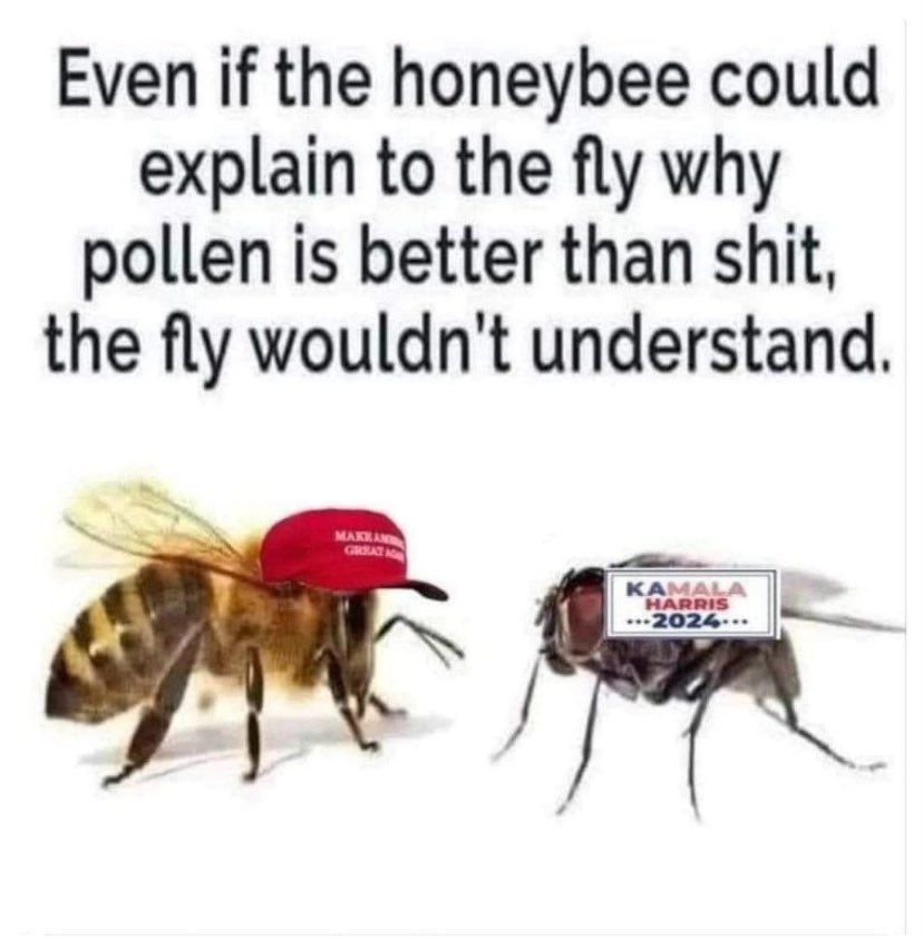 Even if the honeybee could explain to the fly why pollen is better than shit the fly wouldnt understand