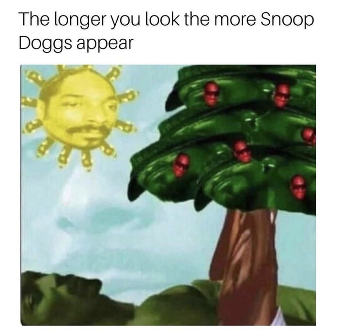 The longer you look the more Snoop Doggs appear