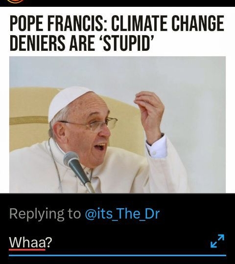 l 870 g wearebreitoart o POPE FRANCIS CLIMATE CHANGE DENIERS ARE STUPID Replying to its The Dr WAEEY 5 I SON 4 Ll