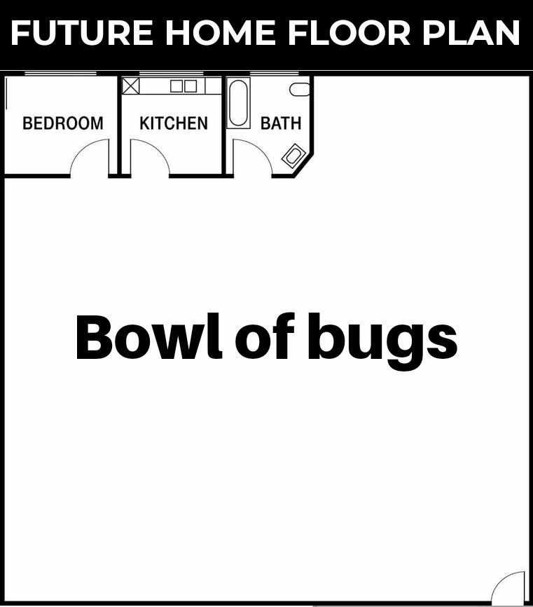 Bowl of bugs