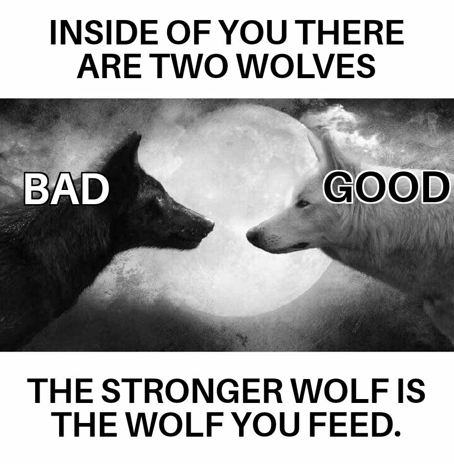 INSIDE OF YOU THERE ARE TWO WOLVES r THE STRONGERWOLF IS THE WOLF YOU FEED