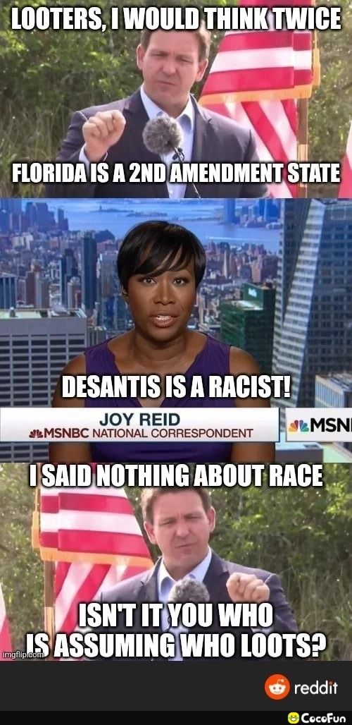 nisnWnuln THINKTWICES RIS NB ety 1 Lreeid J auuiig DESANTISIS A RACIST JOY REID wMSNBC NATIONAL CORRESPONDENT S I SAIDNOTHING ABOUT RACE o It n WISNTIYOUWHO ISASSUMINGIWHO LOOTS Dot reddit Cocofun