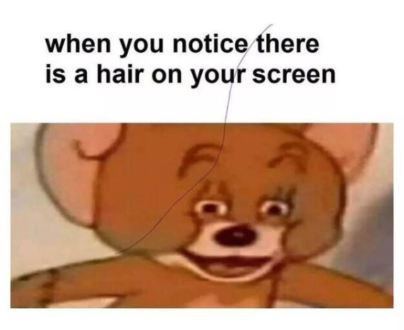 when you notlcgfhere is a hair on your screen