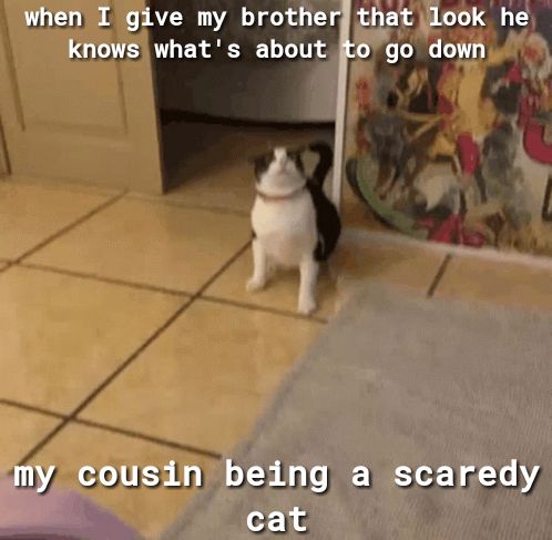 myscousinibeing a scaredy cat