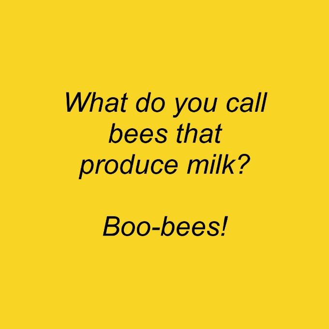 What do you call bees that produce milk Boo bees