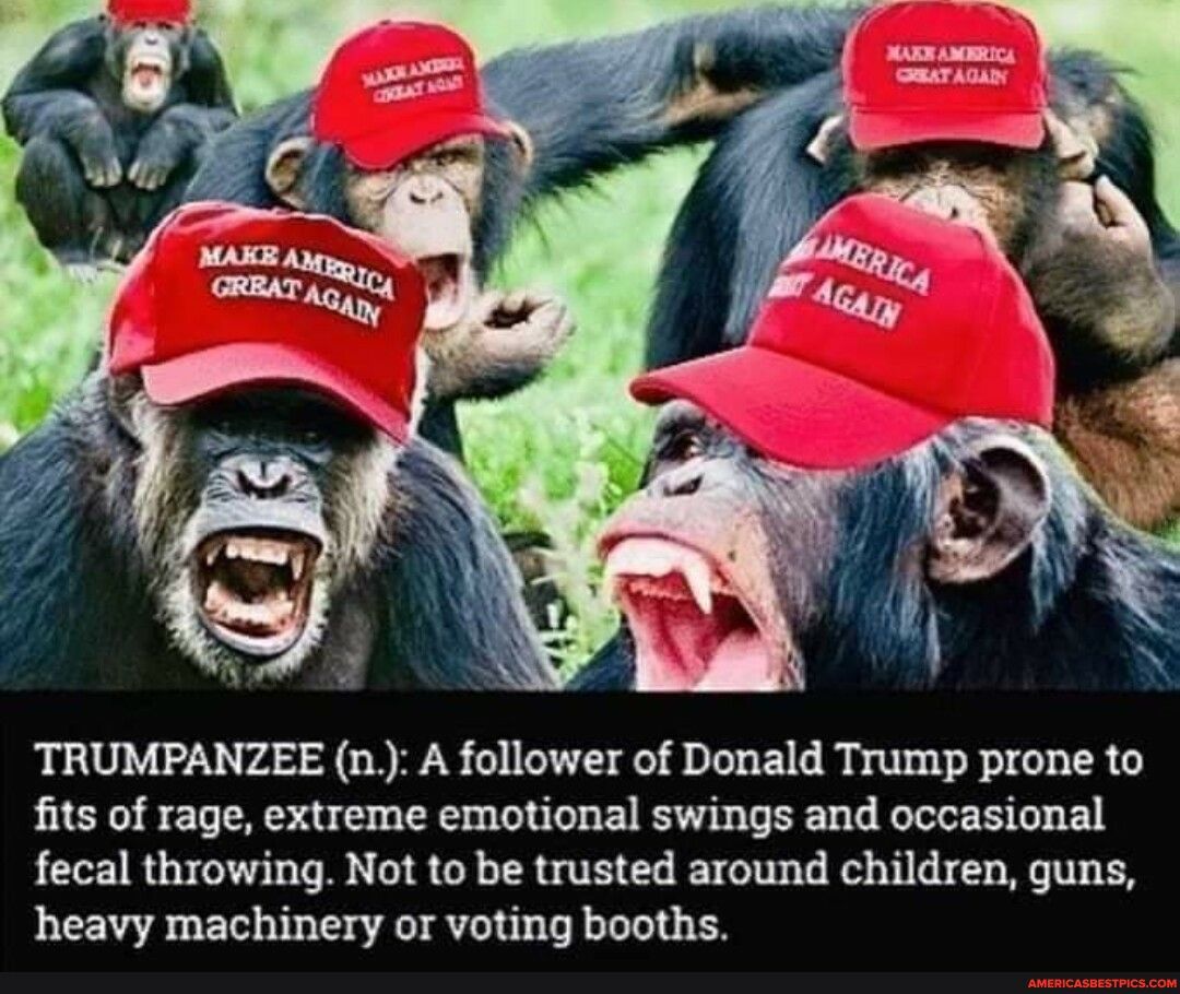 TRUMPANZEE n A follower of Donald Trump prone to fits of rage extreme emotional swings and occasional fecal throwing Not to be trusted around children guns heavy machinery or voting booths