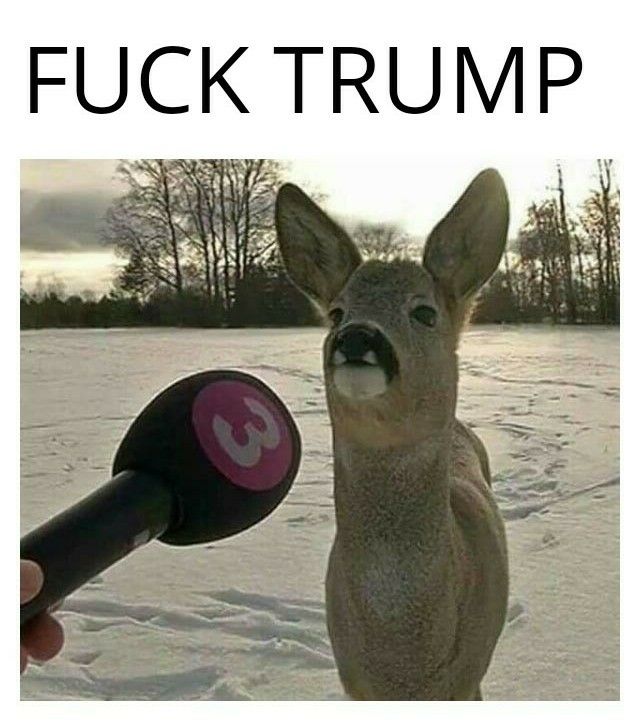 FUCK TRUMP