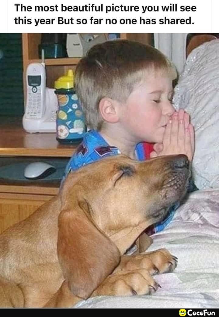 The most beautiful picture you will see this year But so far no one has shared