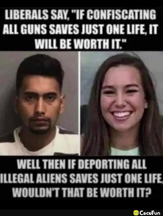 LIBERALS SAY IF CONFISCATING ALL GUNS SAVES JUST ONE LIFE IT WILL BE WORTH IT WELL THEN IF DEPORTING ALL ILLEGAL ALIENS SAVES JUST ONE LIFE WOULDNT THAT BE WORTH IT CocoFun