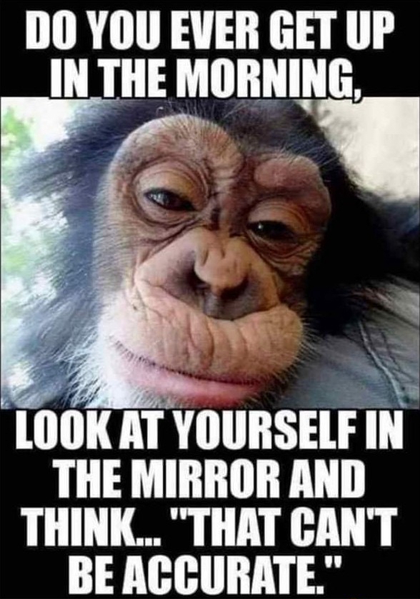 DO YOU EVER GET UP IN THE MORNING LOOK AT YOURSELF IN THE MIRROR AND THINK THAT CANT BEACCURATE ocoFun