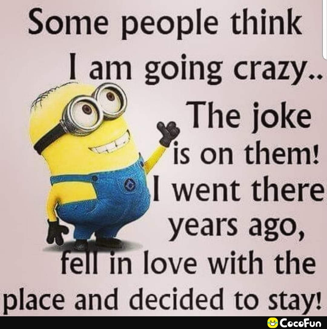 Some people think am going crazy j The joke lS on them went there years ago ell in love with the place and decided to stay Cocofun