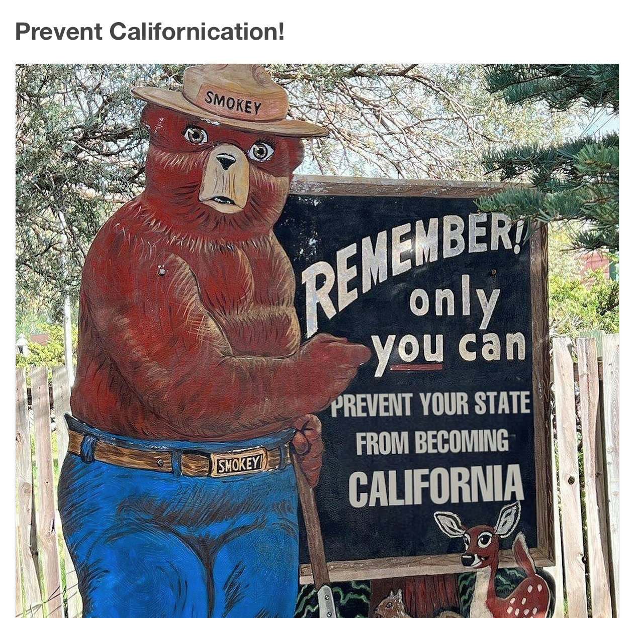 Prevent Californication PREVENT YOUR STATE FROM BECONING CALIFORNIA S A