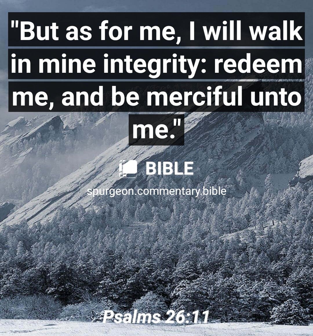 NN Tl CRRTTRTELS in mine integrity redeem me and be merciful unto