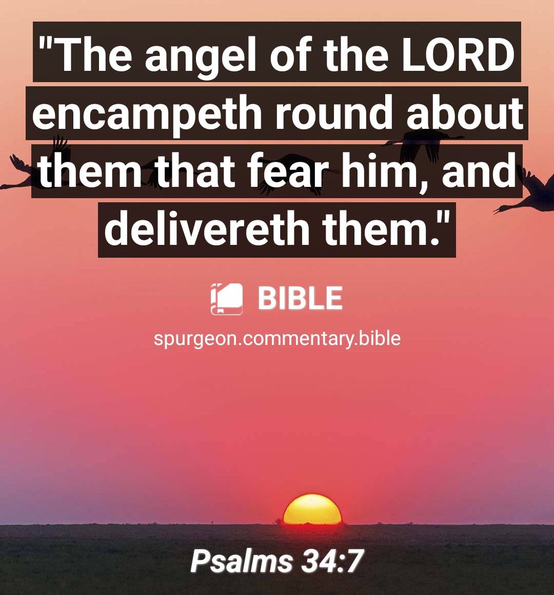 BLLCELE R RGN el encampeth round about AU RG him and delivereth them i BIBLE spurgeoncommentarybible Psalms 347