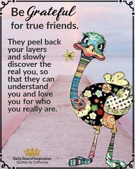 They peel back your layers and slowly discover the real you so that they can understand you and love you for who you really are Daily Dose of nspiration la Quotes by Catherine il