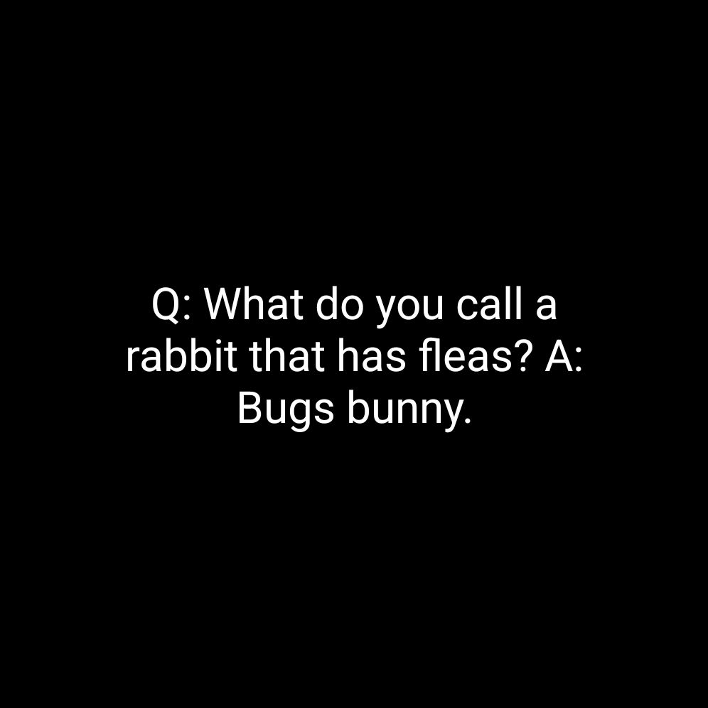Q What do you call a rabbit that has fleas A Bugs bunny