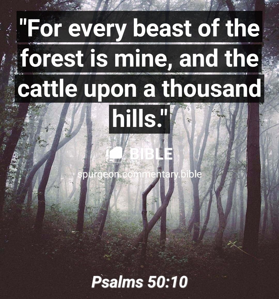 P S S I T o T For every beast of the forest is mine and the cattle upon a thousand Psalms 5010