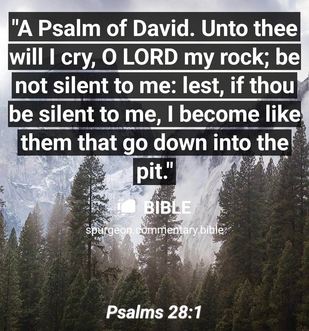 A Psalm of David Unto thee will cry O LORD my rock be not silent to me lest if thou be silent to me become like them that fo X V nto the Psalms 281