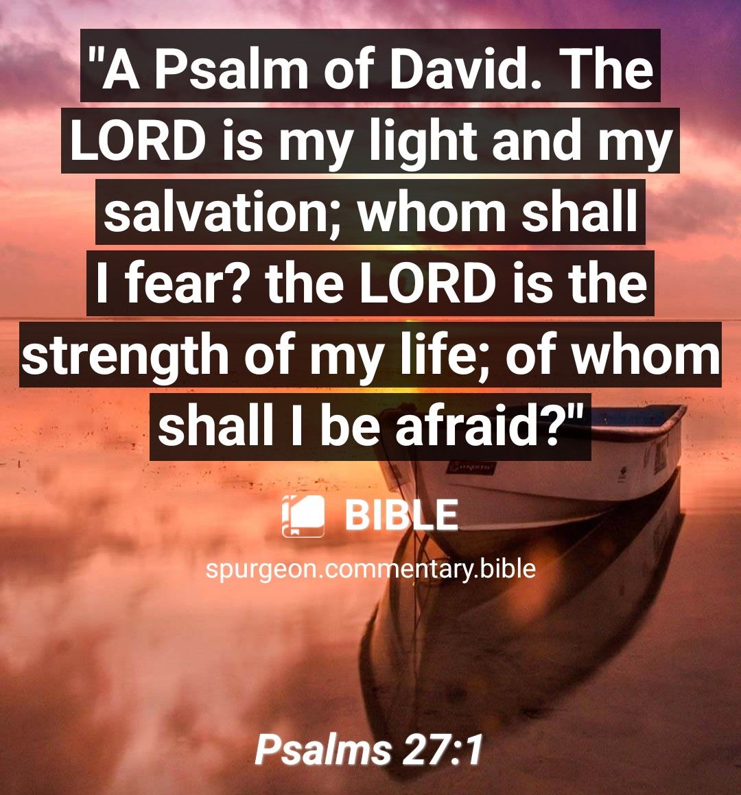 qA Psalm of David The EORD is my light and niy EEELLIATN OO e I fear the LORD is the strength of my life of whom shall be afraid BIBLE SBUIGEGRIEE ntary bible Psalms 271
