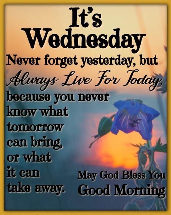 Its Wednesday Never forget yesterday but 7 lhcause You never what