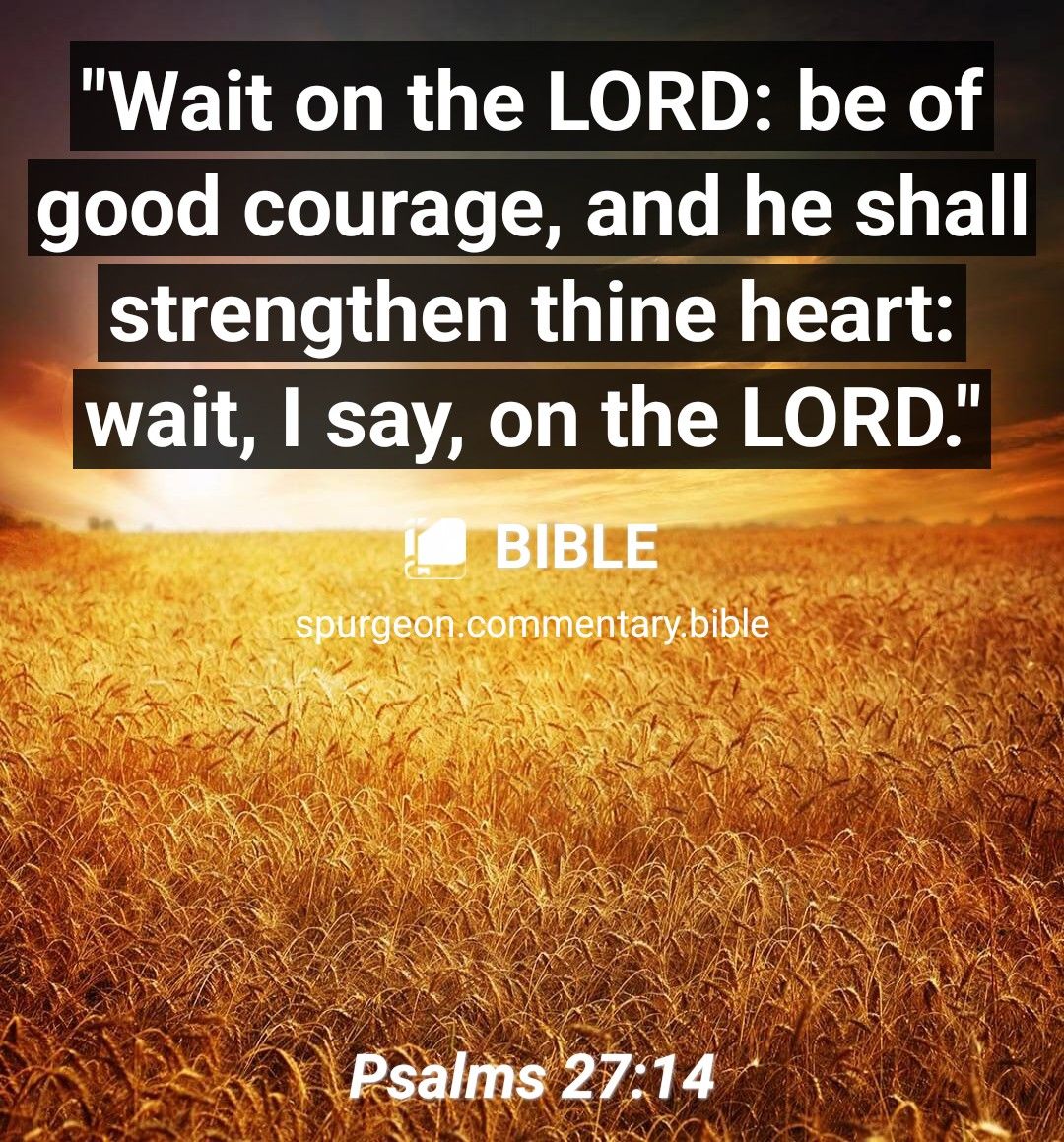 Wait on the LORD be of good courage and he shall strengthen thine heart wait say on the LORD Splirgeon comimentarybibie e YPsalms 2714