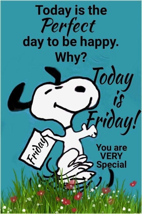 Today is the Ferfect day to be happy Why