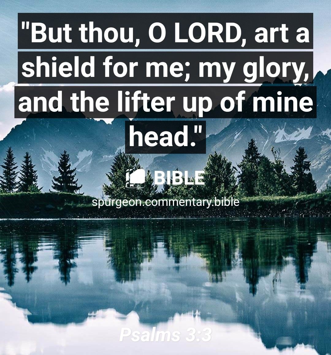 But thou O LORD art a shield for me my glory L the lifter up of mine