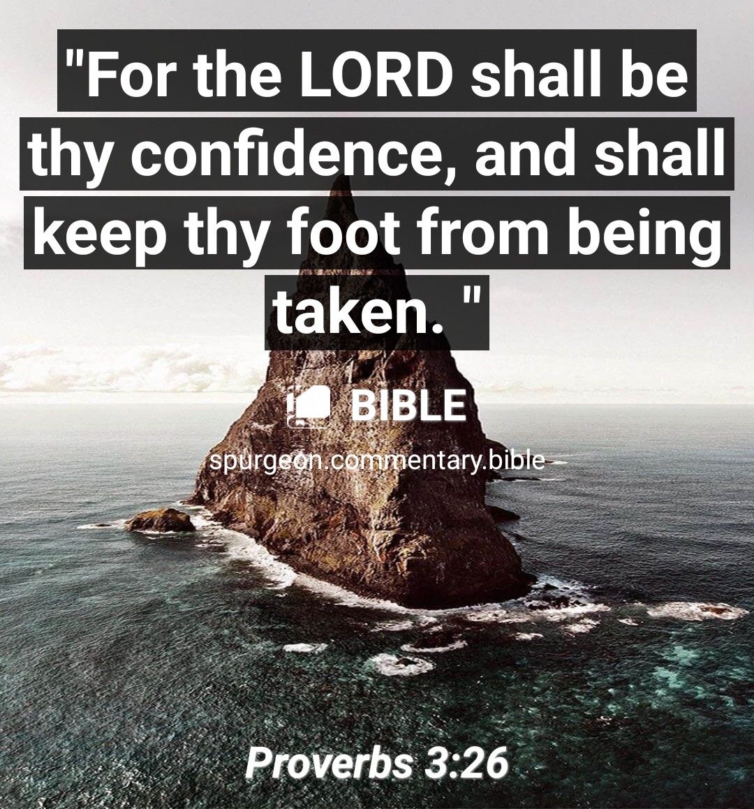 For the LORD shall be thy confidence and shall keep thy foot from being 4o POVerbsZGV