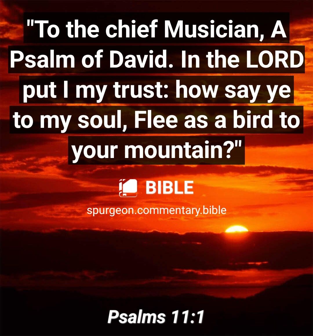 To the chief Musician A Psalm of David In the LORDE put my trust how say yey to my soul Flee as a bird to your mountain i BIBLE spurgeoncommentarybible Psalms 111