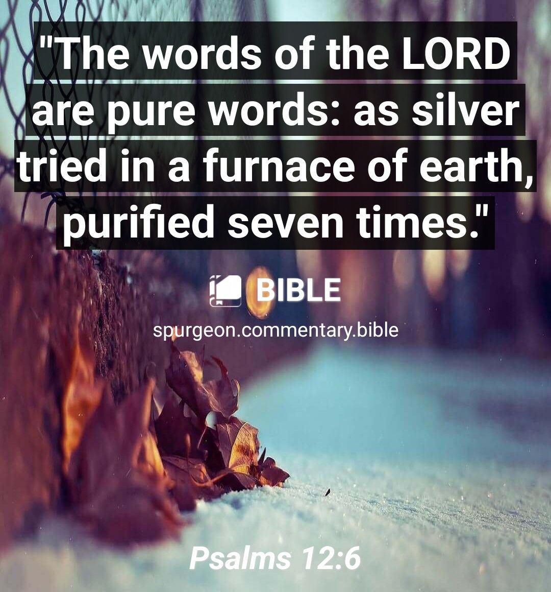 WL OV s The words of the LORD are pure words as silver trfa ina furne of tearth purled seven tlmes Y A glaLE v spurgeoncommentarybible