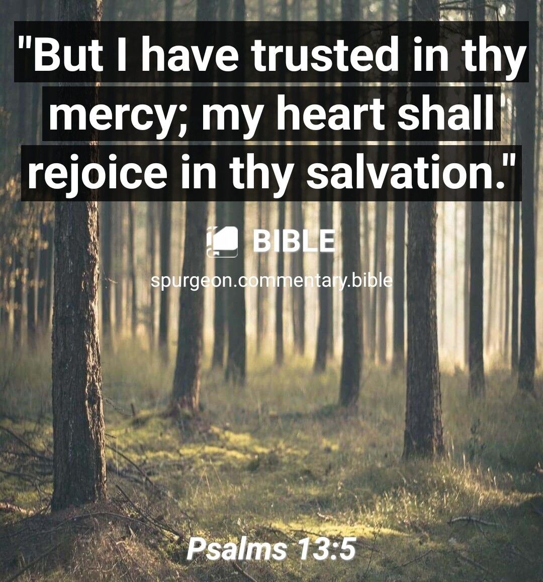 But V trusted thy WA heart shall rejmce thy salvation L Pealms 13 1