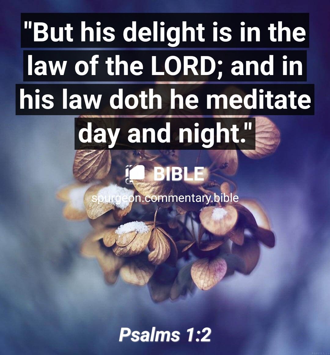 But his delight is in the law of the LORD and in ISR ENTC L G CE N T ET day and night W e