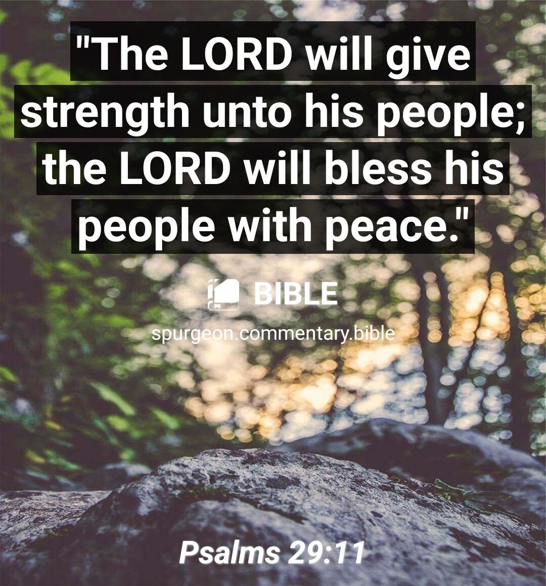 B The LORD will give strength unto his people the LORD will bless hisk