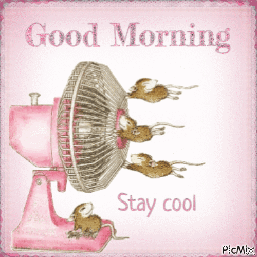 P Good Morning
