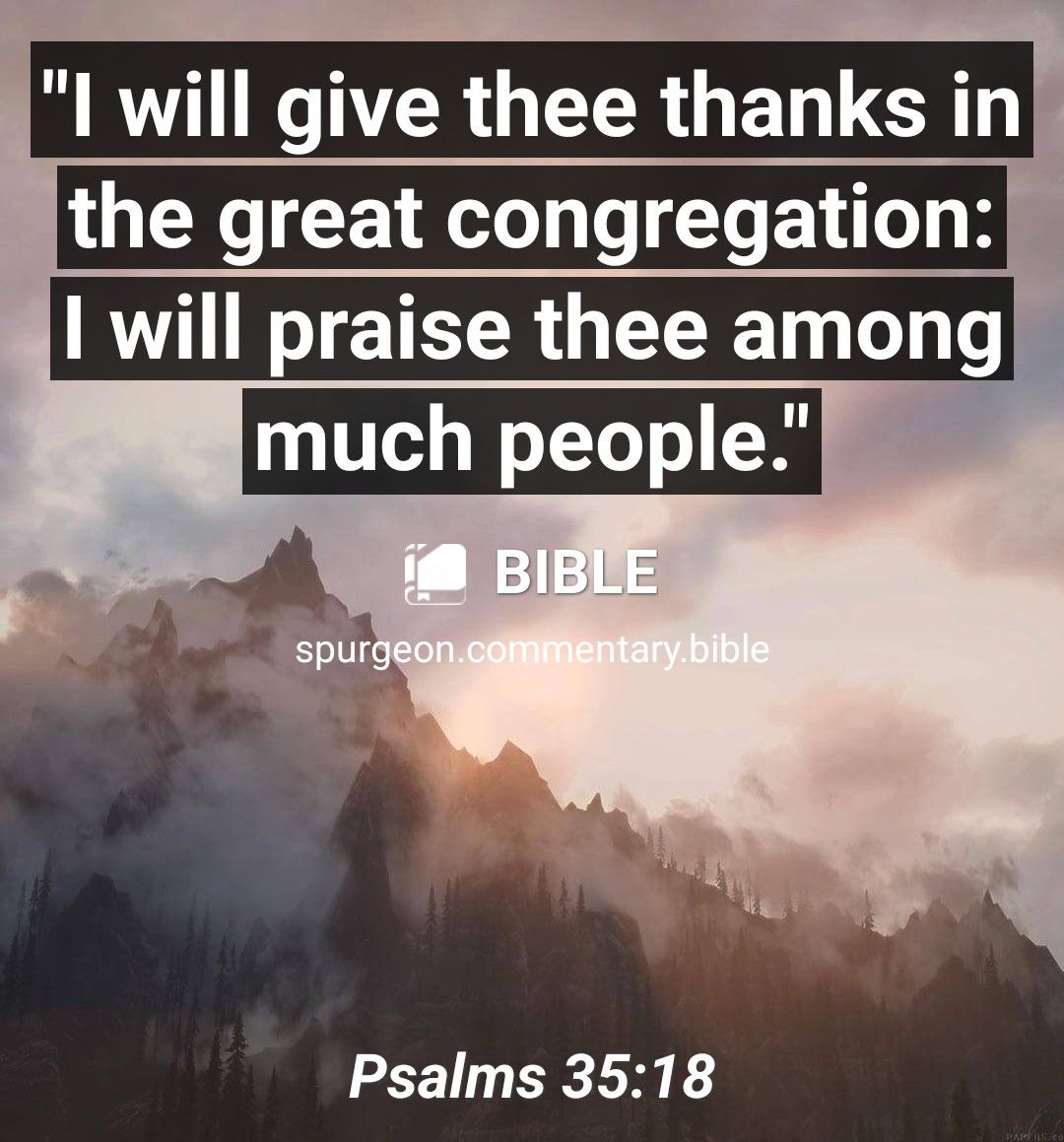 LR R G CER GEL UG the great congregation will praise thee among much people Psalms 3518