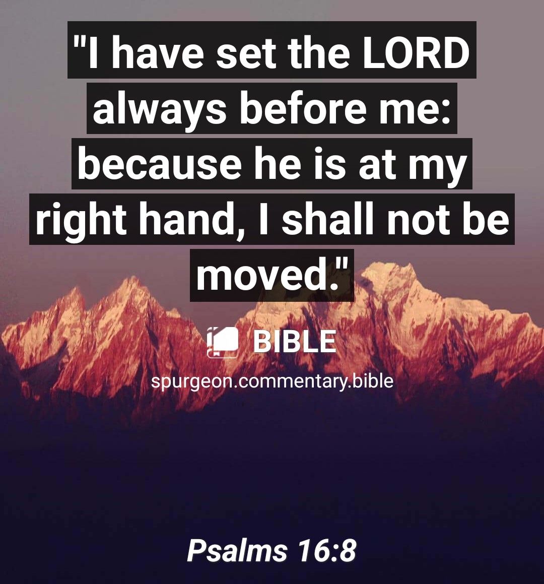 l have set the LORD always before me because he is at my rlght hand shall not be Psalms 168